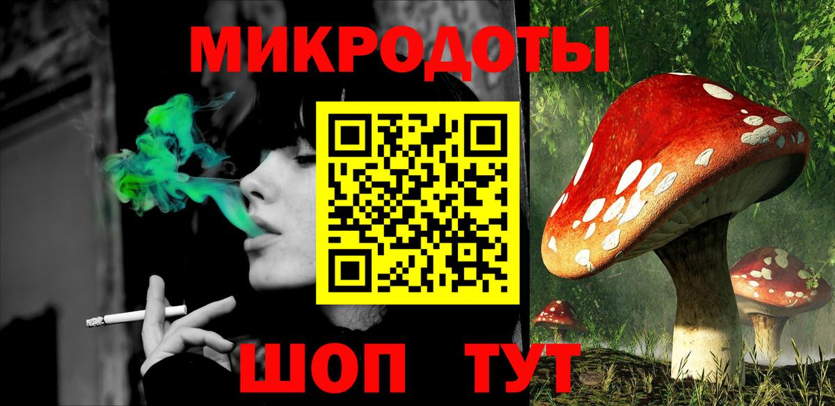 Псилоцибиновые грибы Psilocybine cubensis Миллерово
